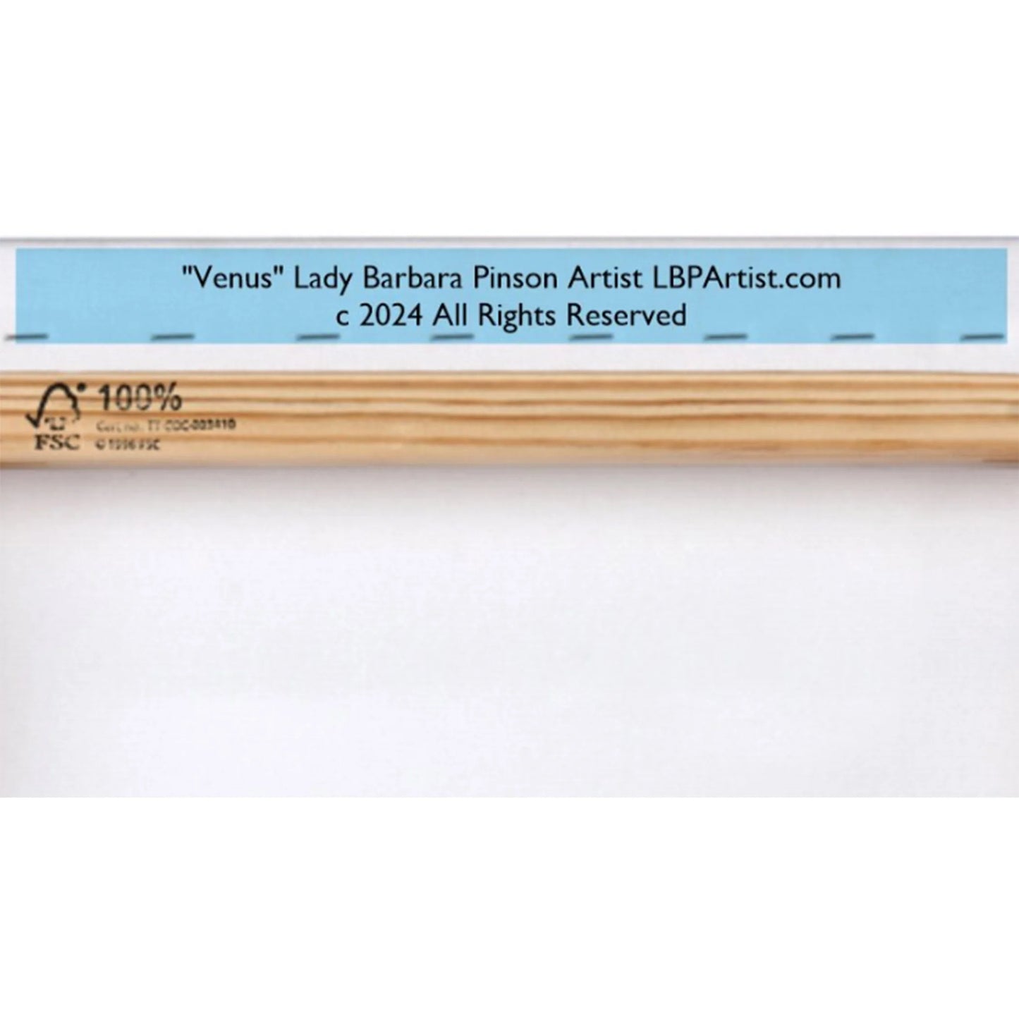 Lady Barbara Pinson Artist Venus Canvas Wall Art