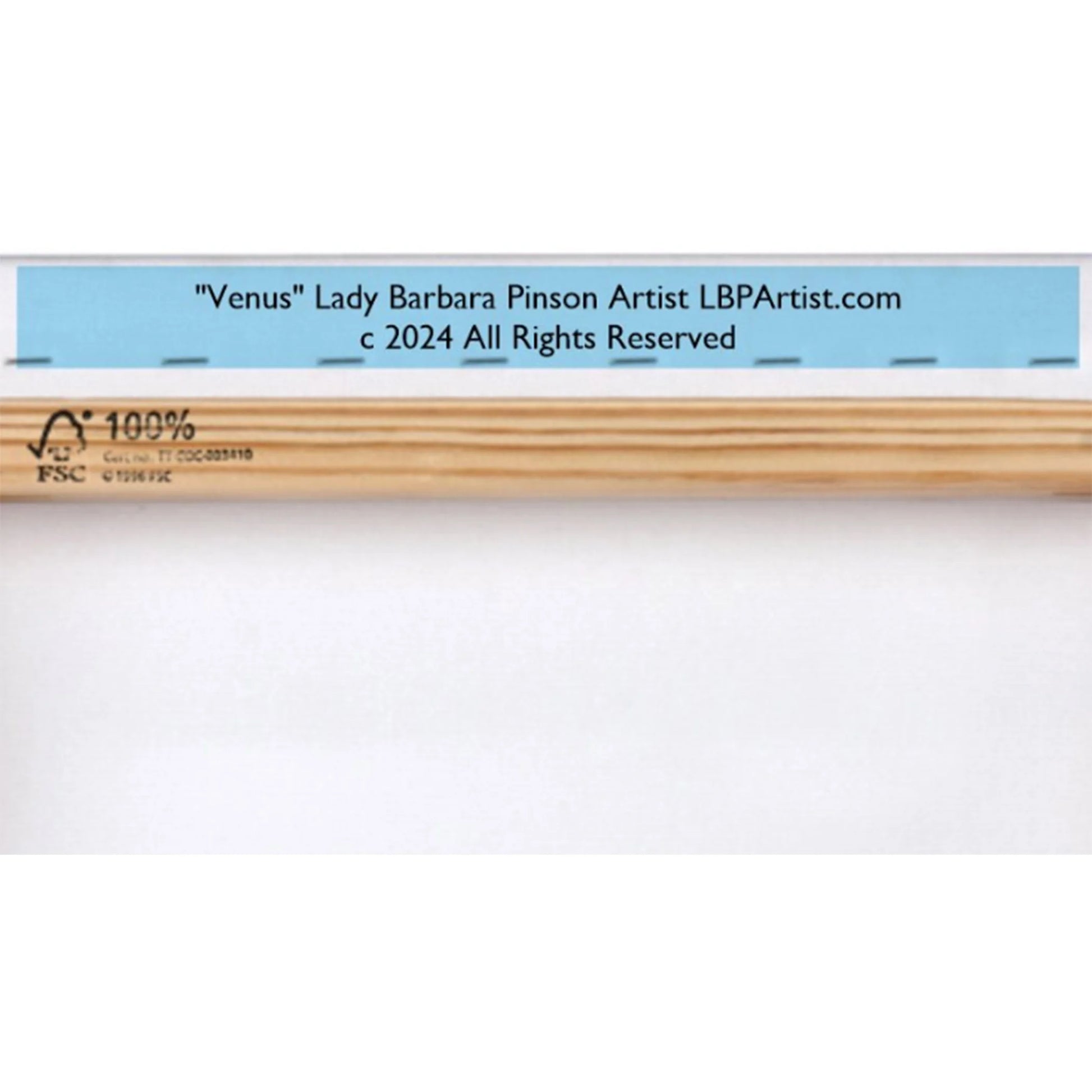 Lady Barbara Pinson Artist Venus Canvas Wall Art