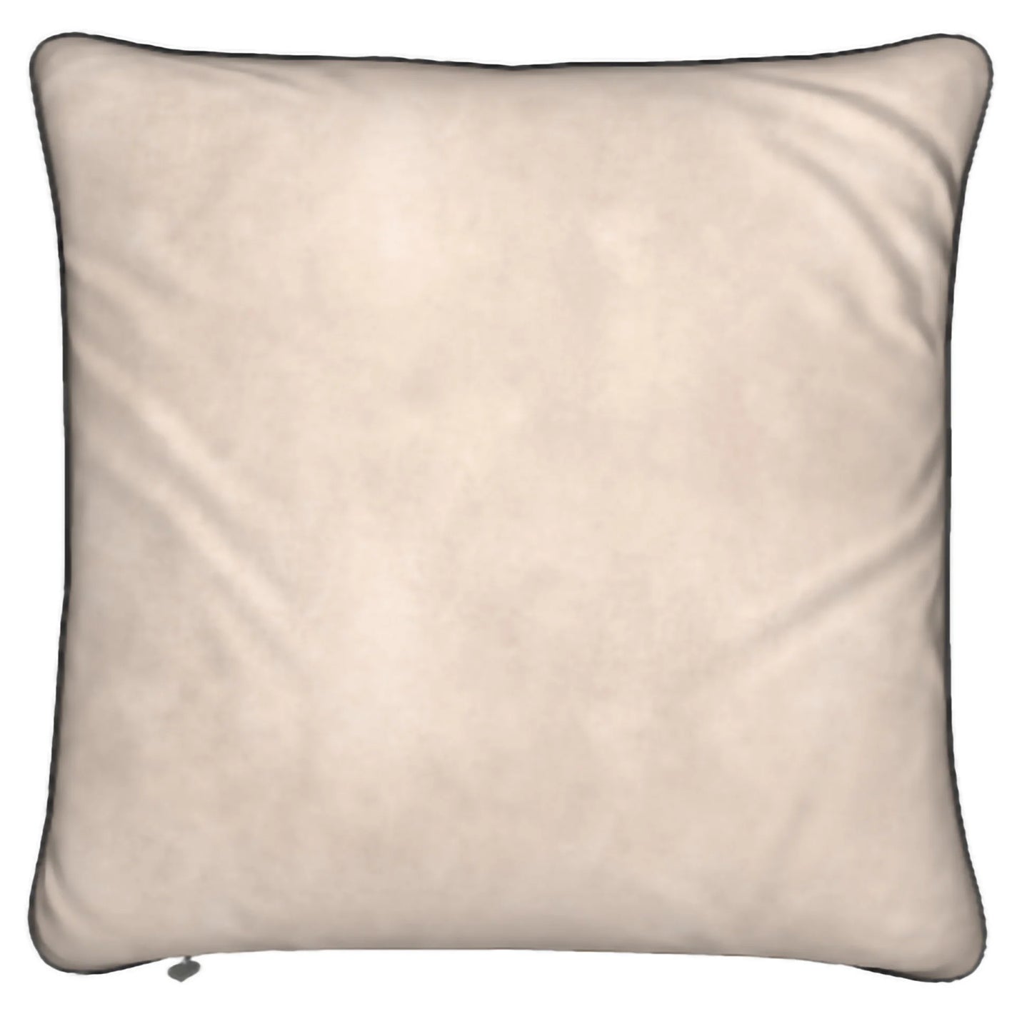 Lady B Velvet Feather Pillows