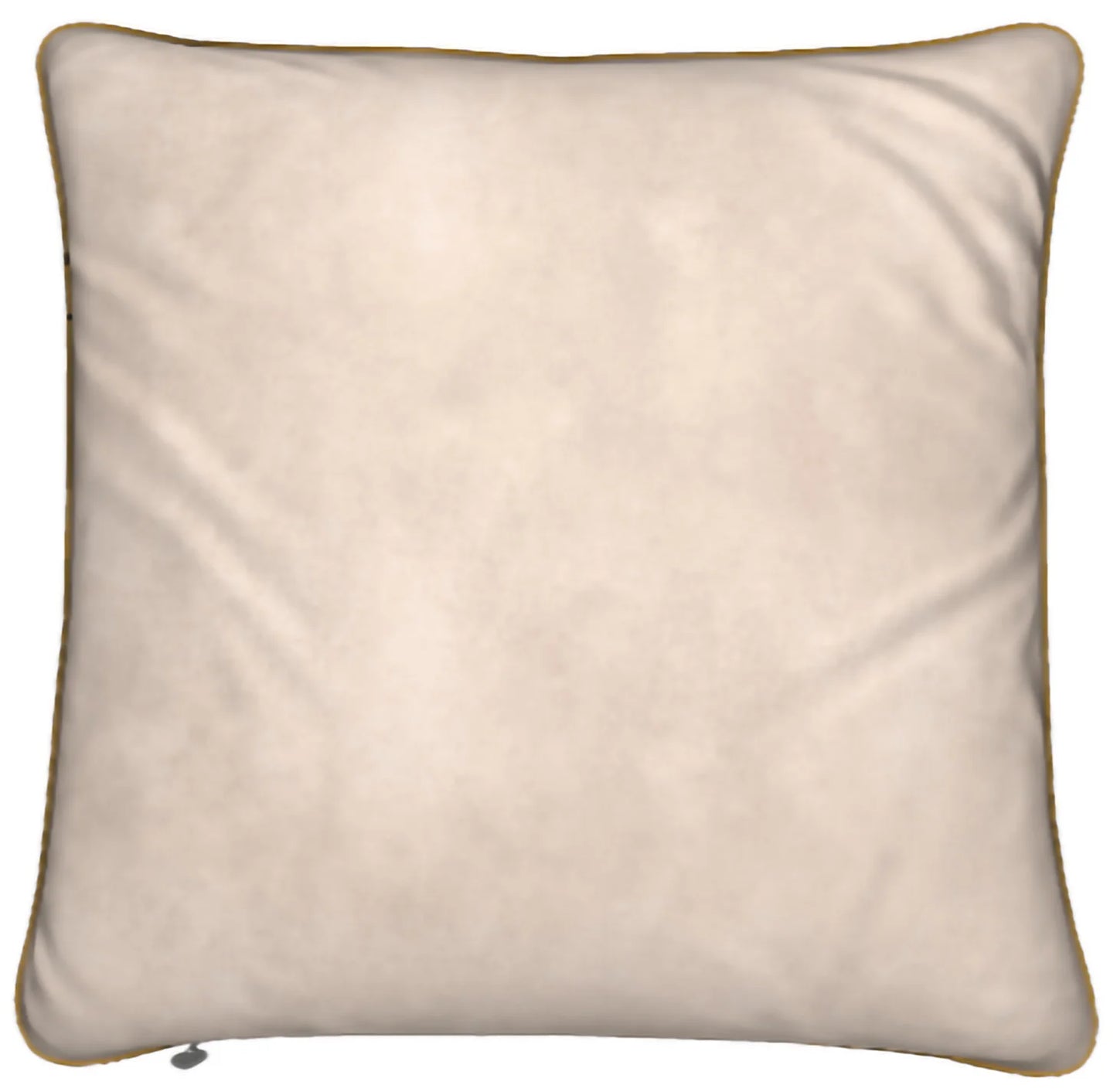 Lady Barbara Pinson Artist Aurora Feather Pillow