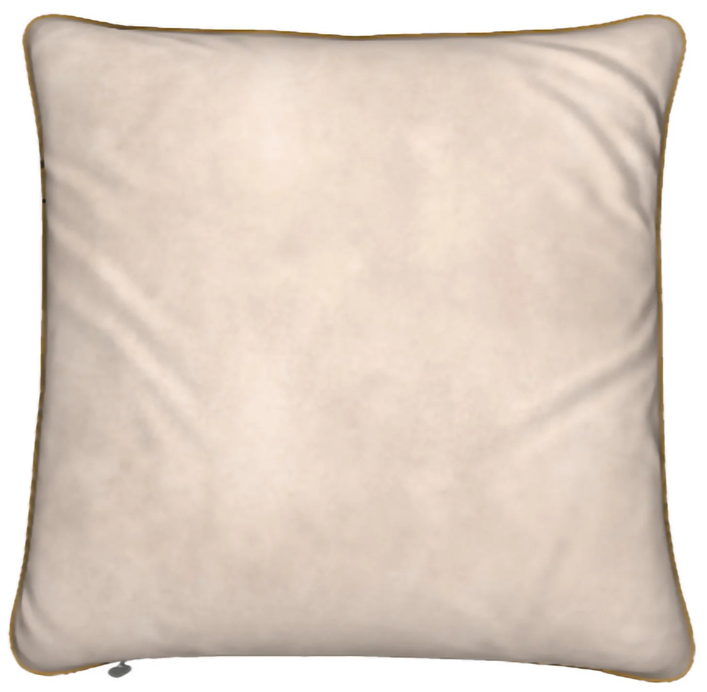 Lady Barbara Pinson Artist Aurora Feather Pillow