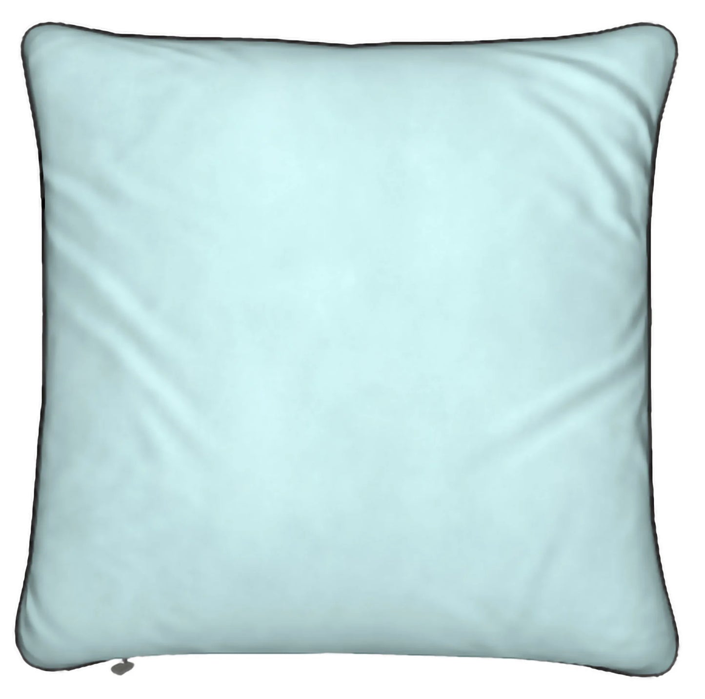 Lady Barbara Pinson Artist Ella Luxury Feather Pillows