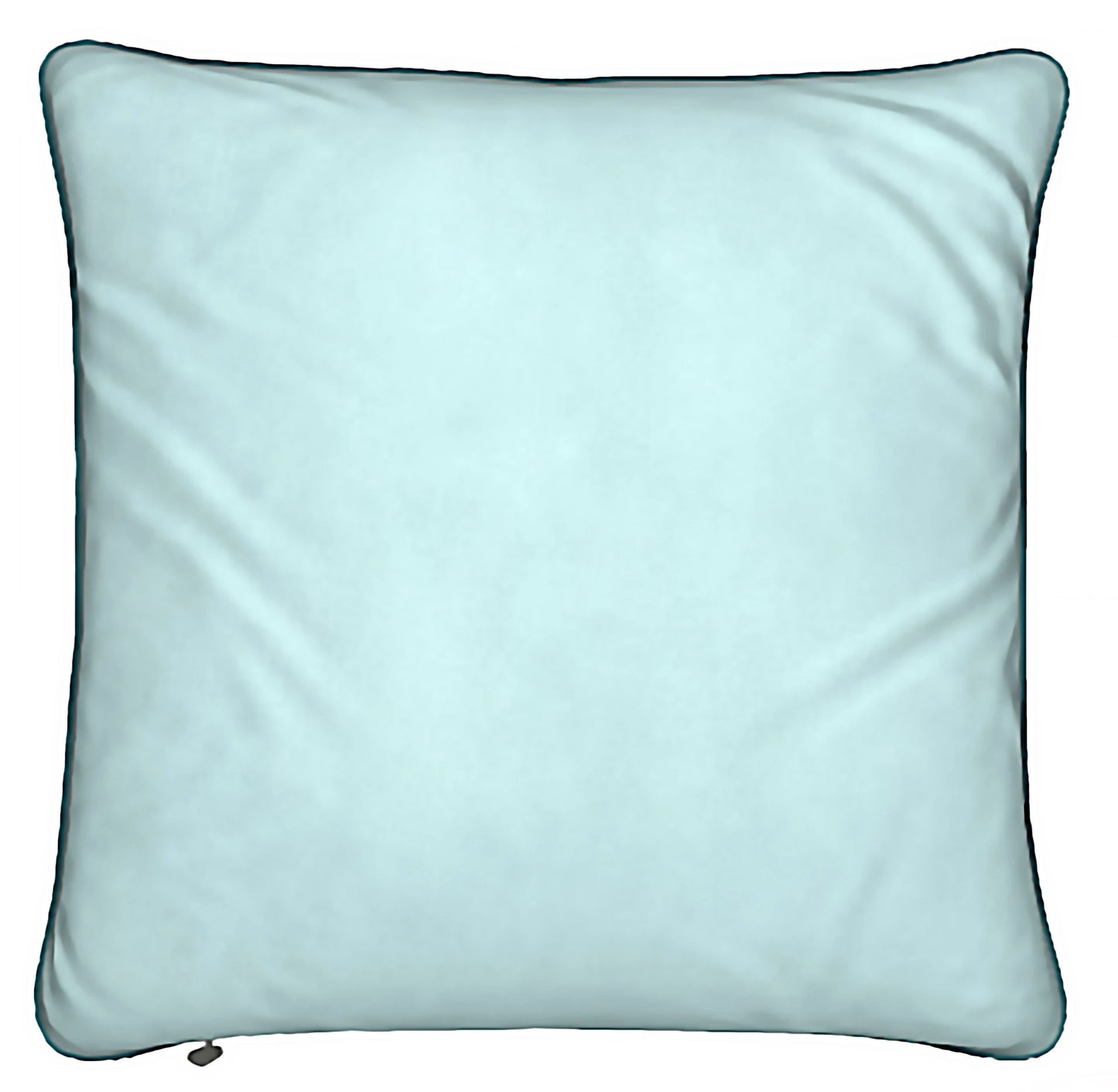 Lady Barbara Pinson Artist Light Flight Feather Pillow