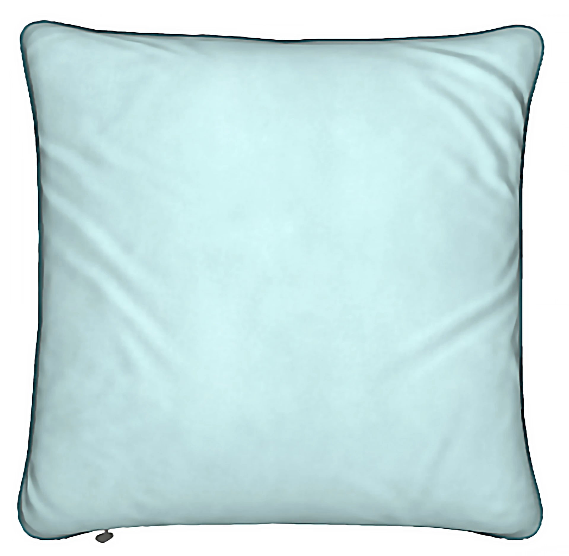 Lady Barbara Pinson Artist Light Flight Feather Pillow
