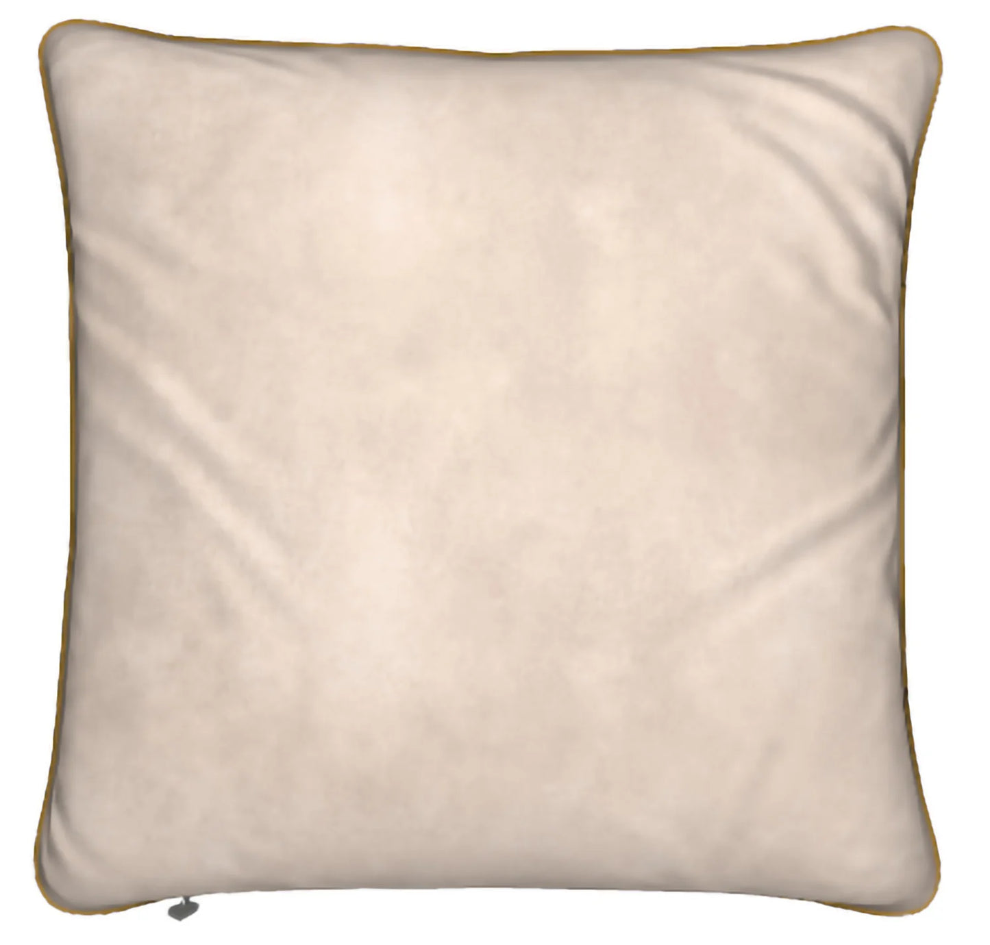 Lady B Velvet Feather Pillows