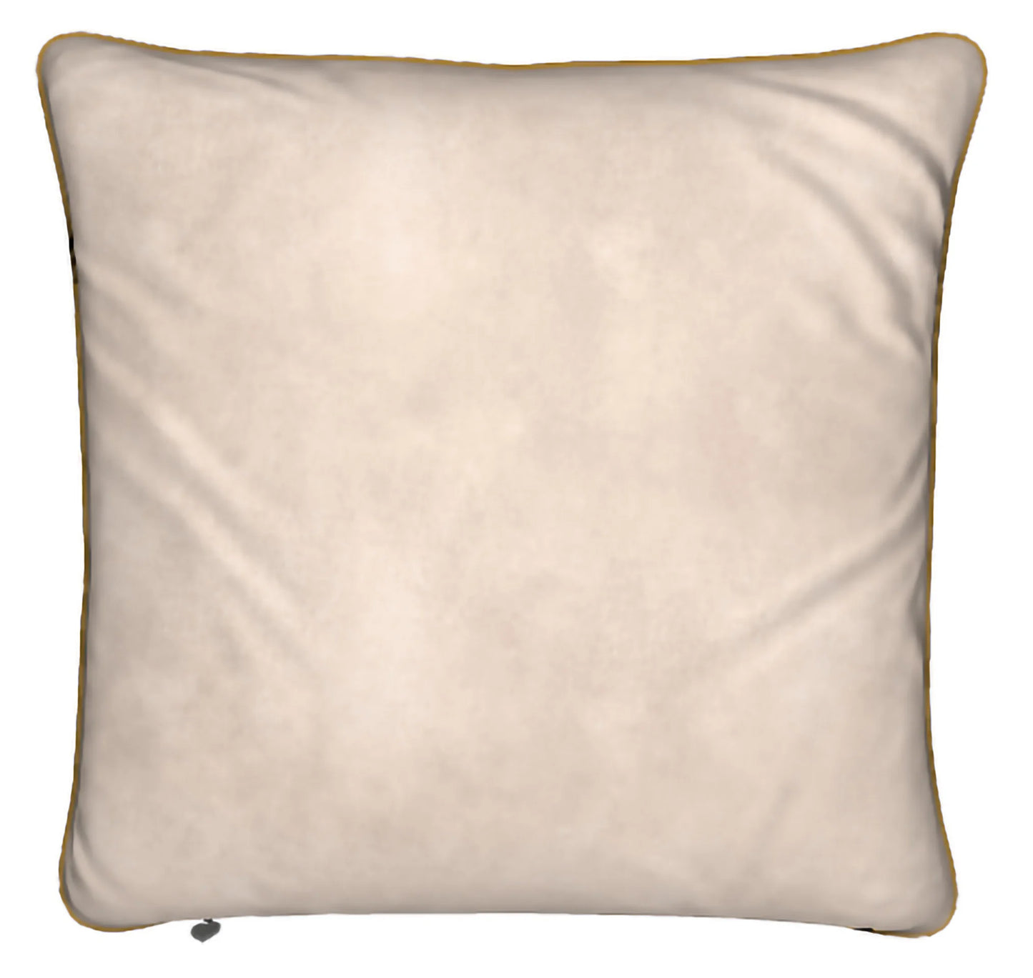 Lady Barbara Pinson Artist Songs of Flight Luxury Feather Pillows (Back)