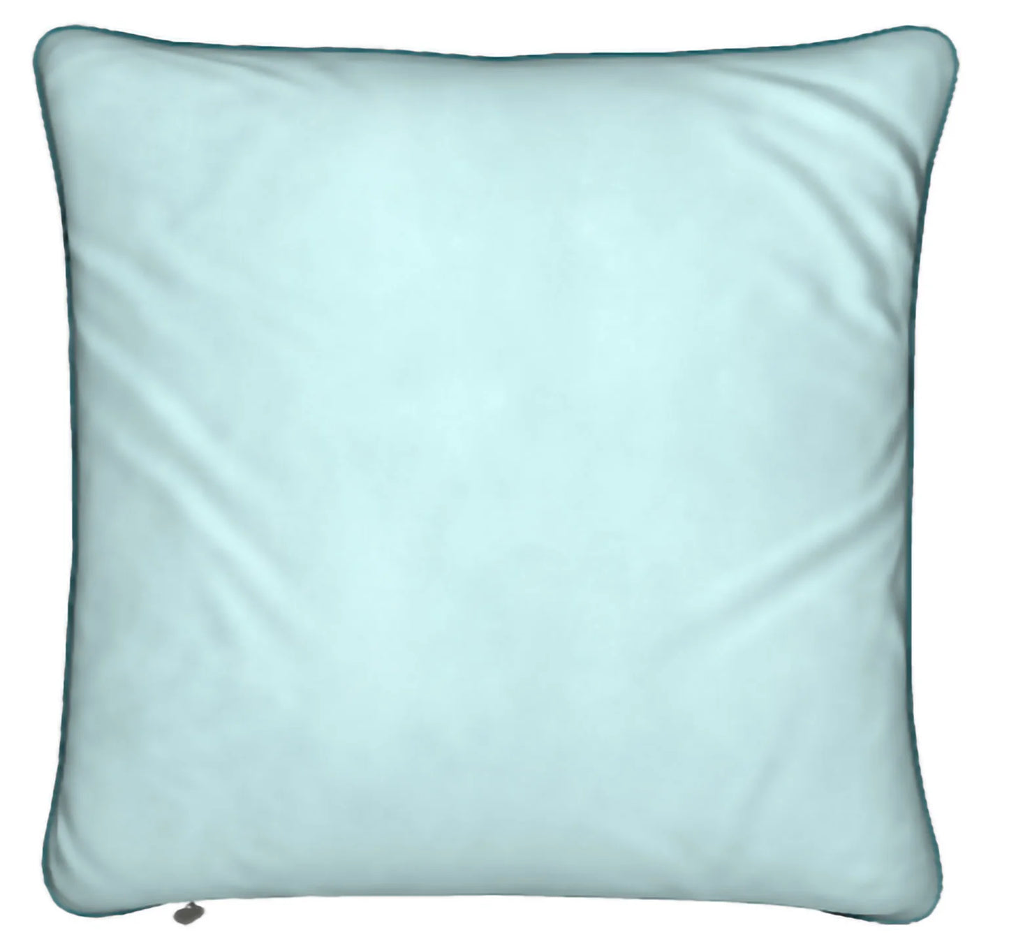 Lady Barbara Pinson Artist WaterWater 3 Feather Pillow