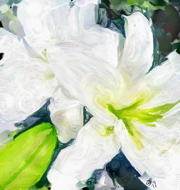 "Bella Lillies" Chiffon Scarf/Sarong