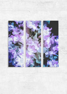 Wall Art Triptychs