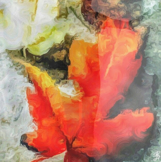 "Falling for You" Chiffon Scarf/Sarong