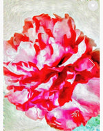 "Peonies from Heaven" Cashmere Silk Scarf