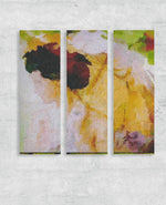 Wall Art Triptychs