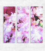 Wall Art Triptychs