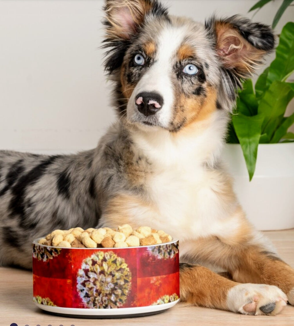 Dog Bowl "Diamond Brooch "