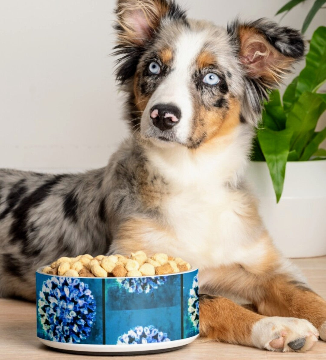 Dog Bowl "Diamond Brooch "