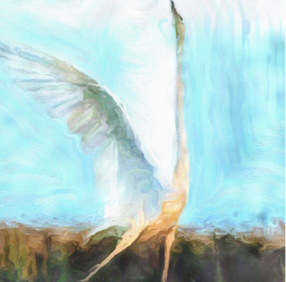 Egret wing spread