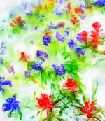 "Early Spring" Cashmere Silk Scarf